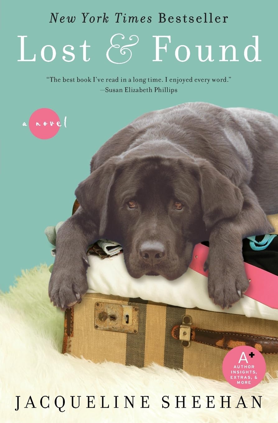 Lost  & Found book cover