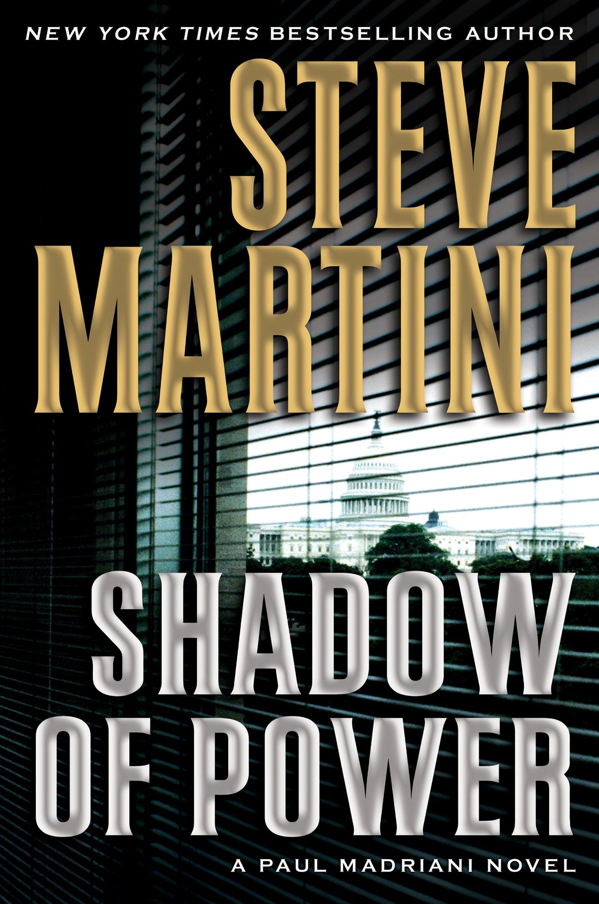 Shadow of Power book cover