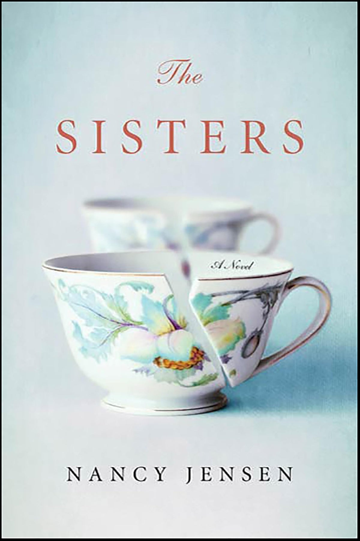 Sisters book cover