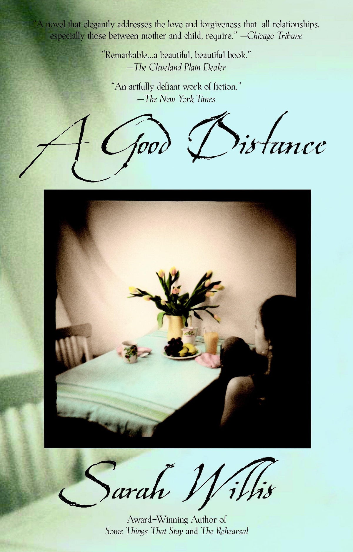 Good Distance book cover