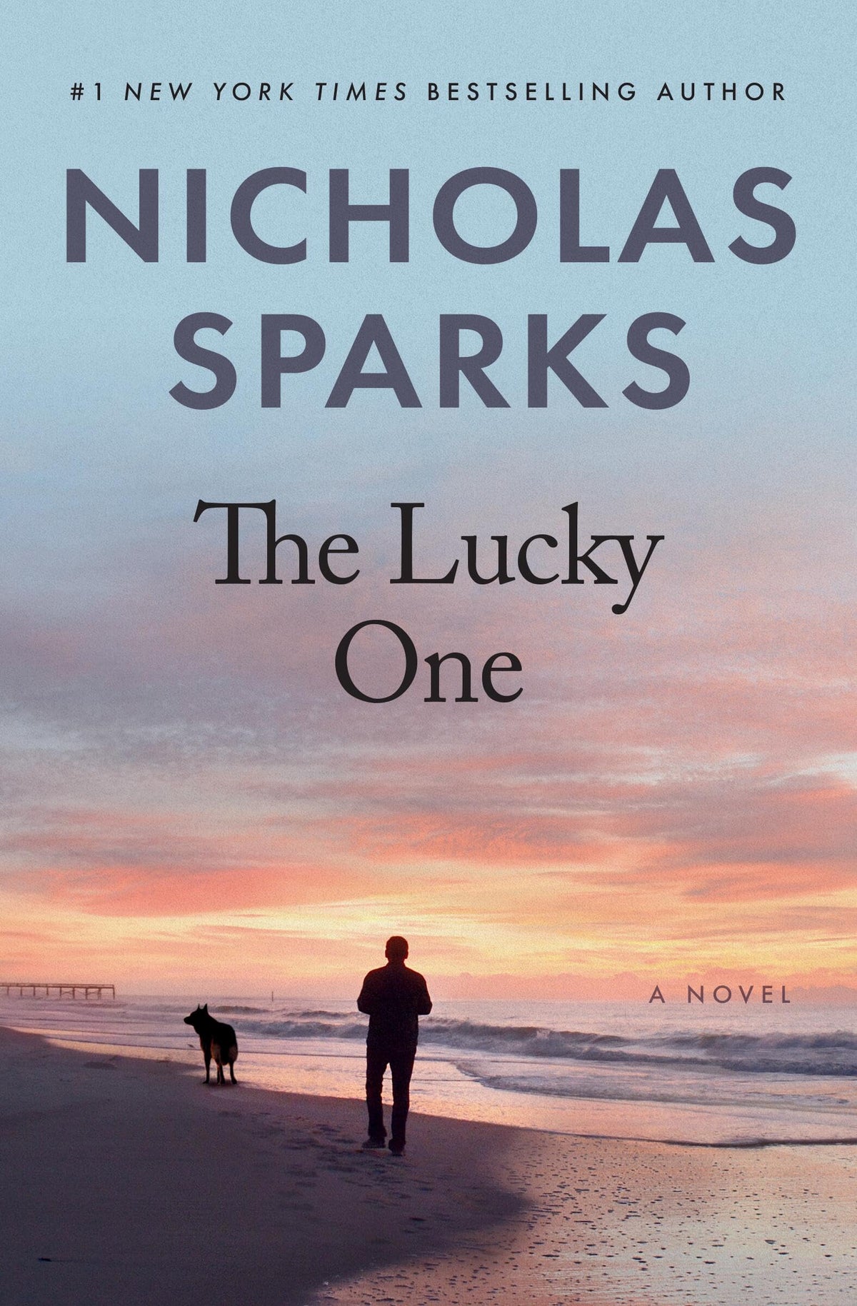Lucky One book cover