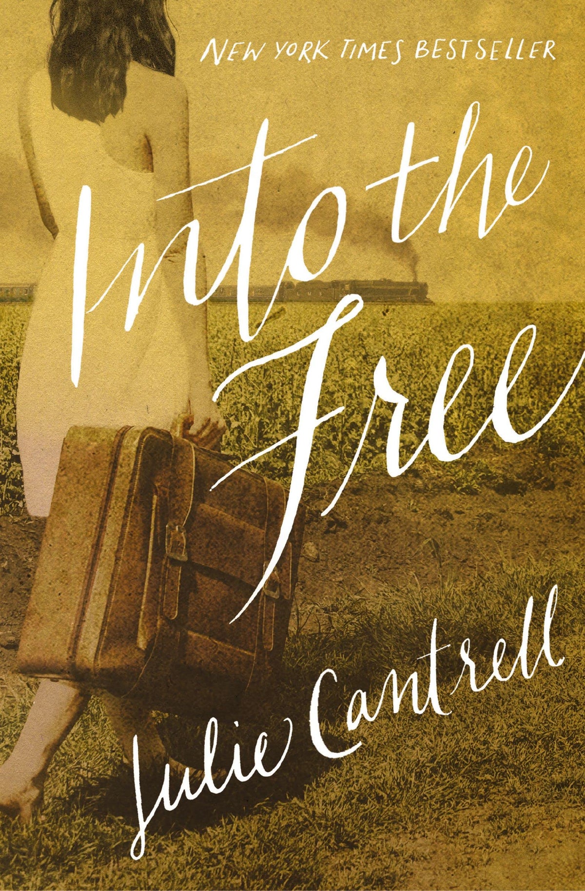 Into the Free book cover