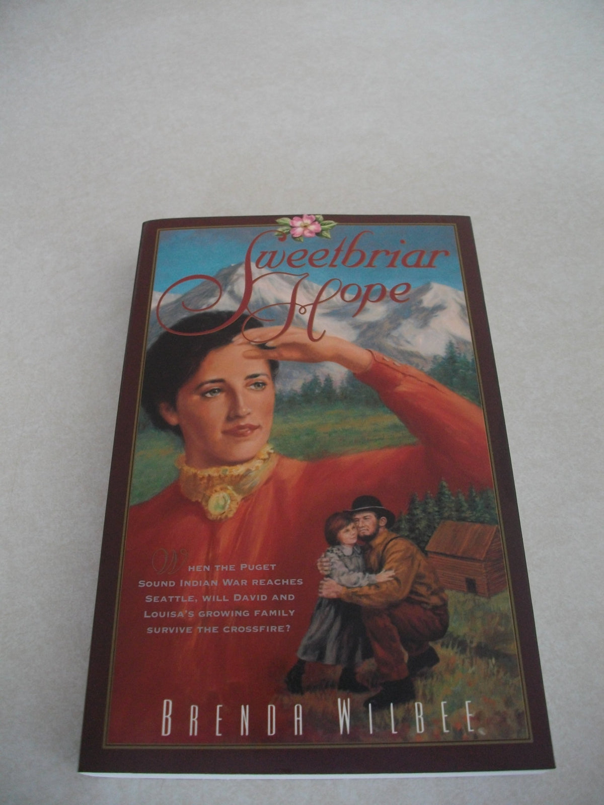 Sweetbriar Hope book cover