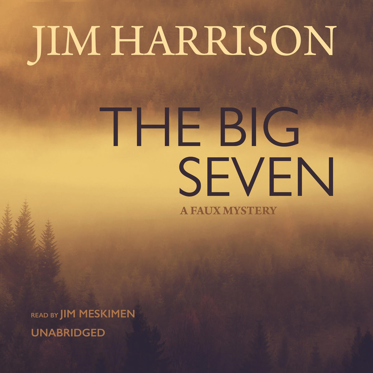 Big Seven book cover