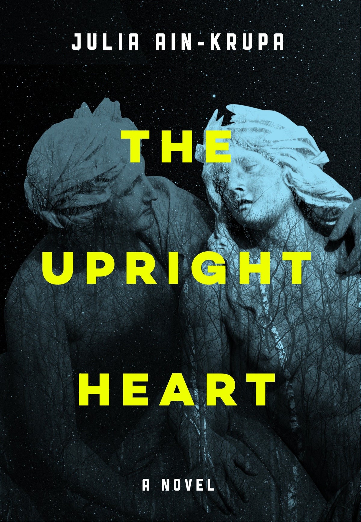 Upright Heart book cover