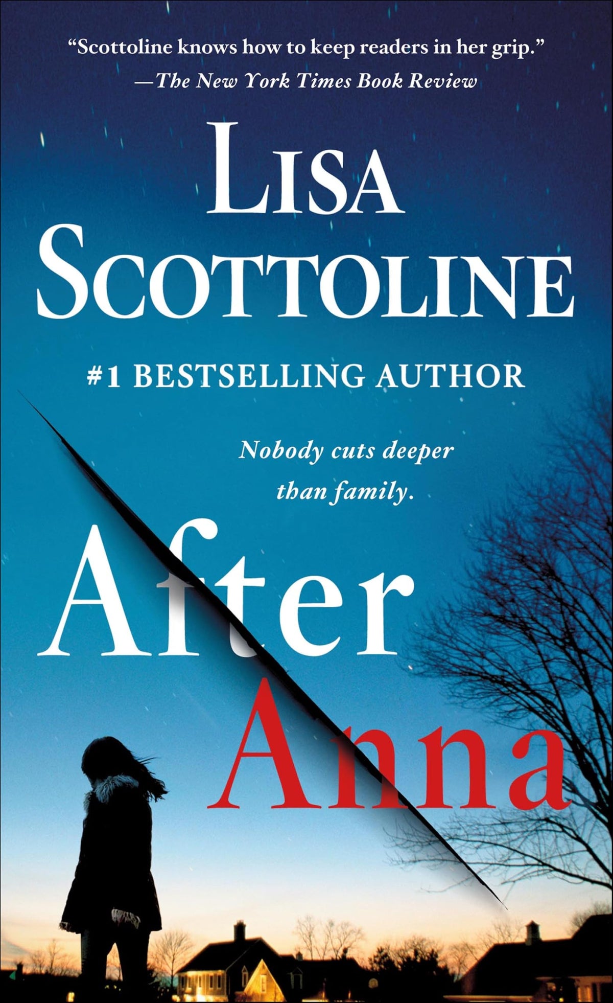 After Anna book cover