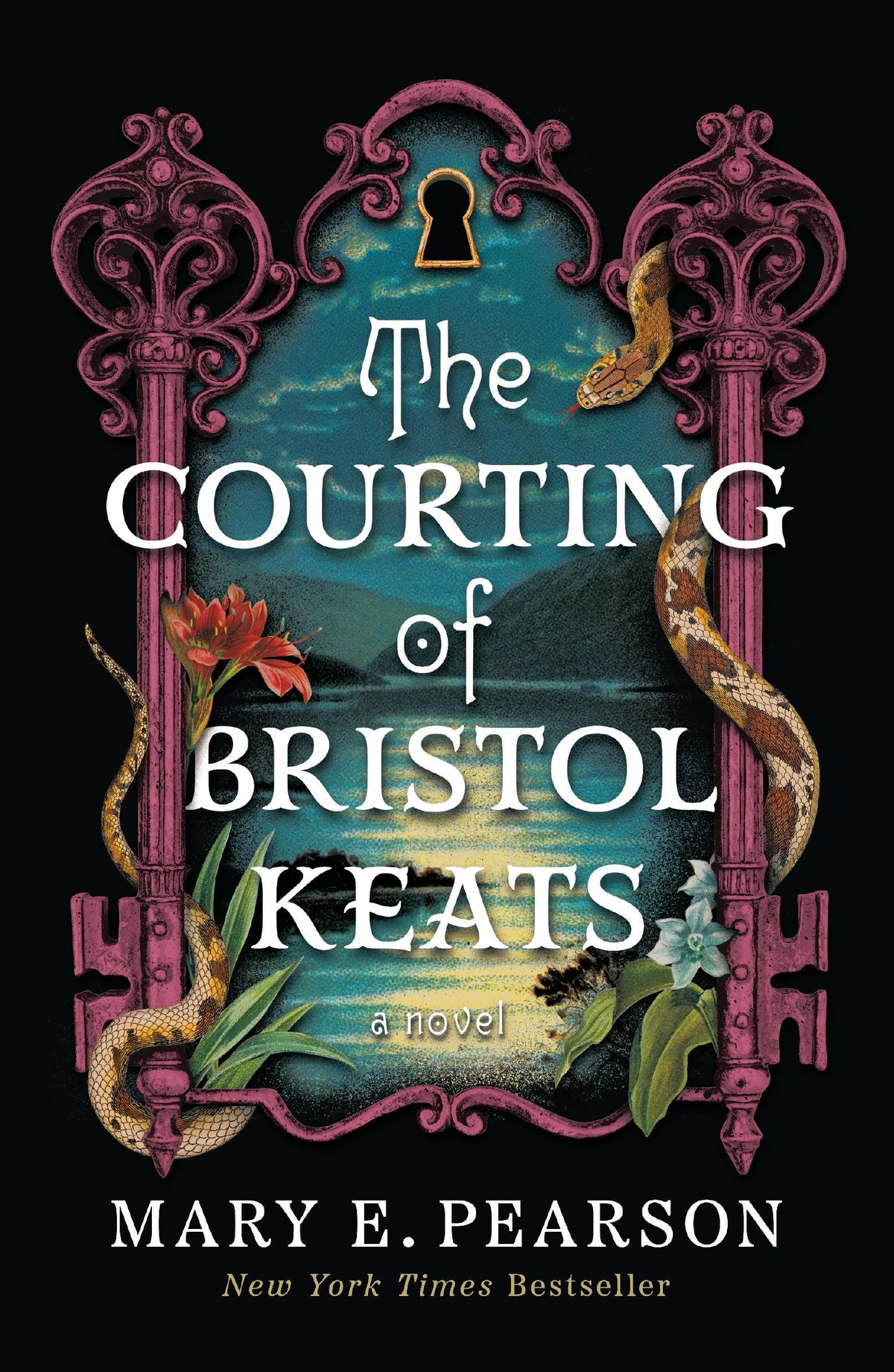 Courting of Bristol Keats book cover