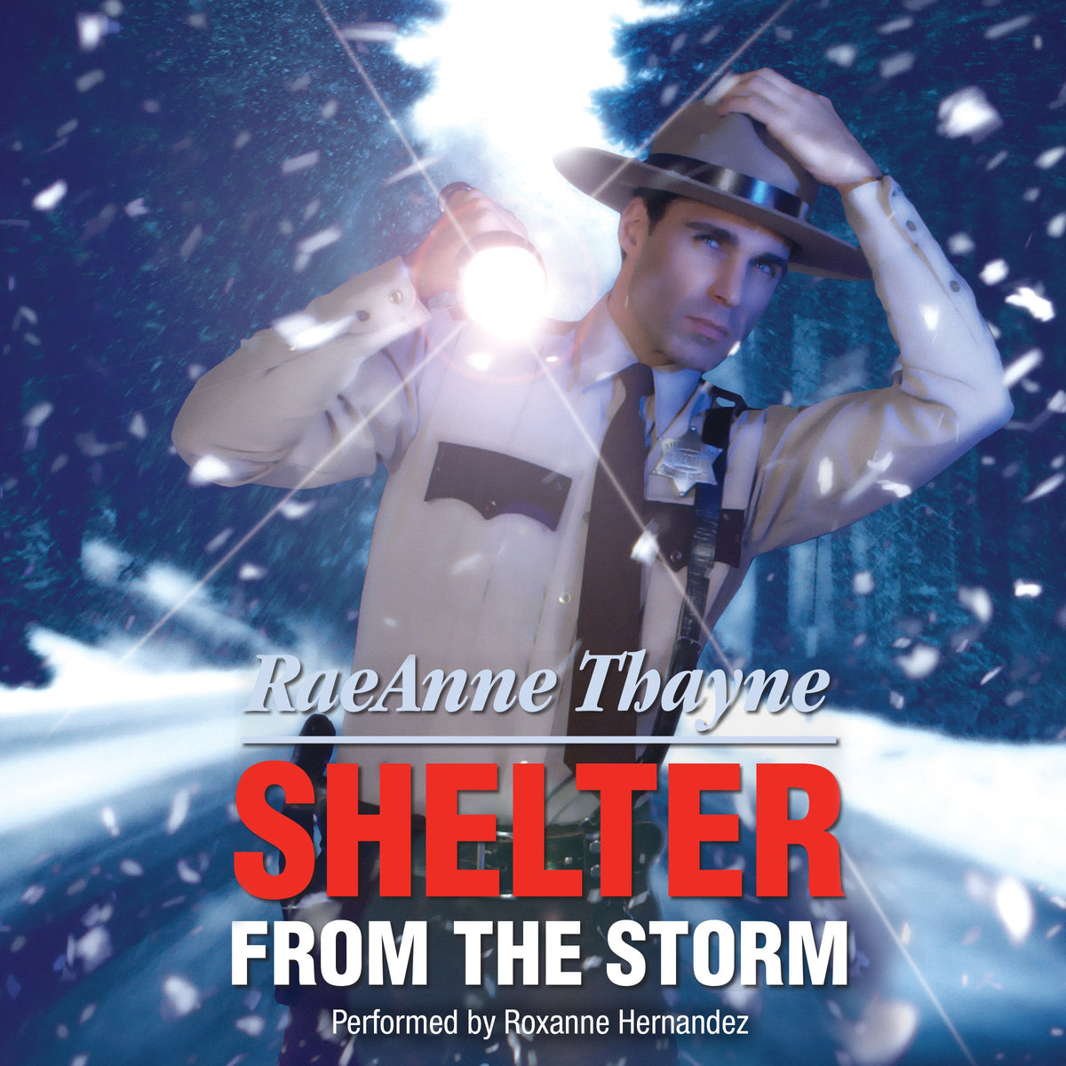 Shelter from the Storm  & Matched by Masala: Two Heartfelt Romance Novels (Reissue) book cover