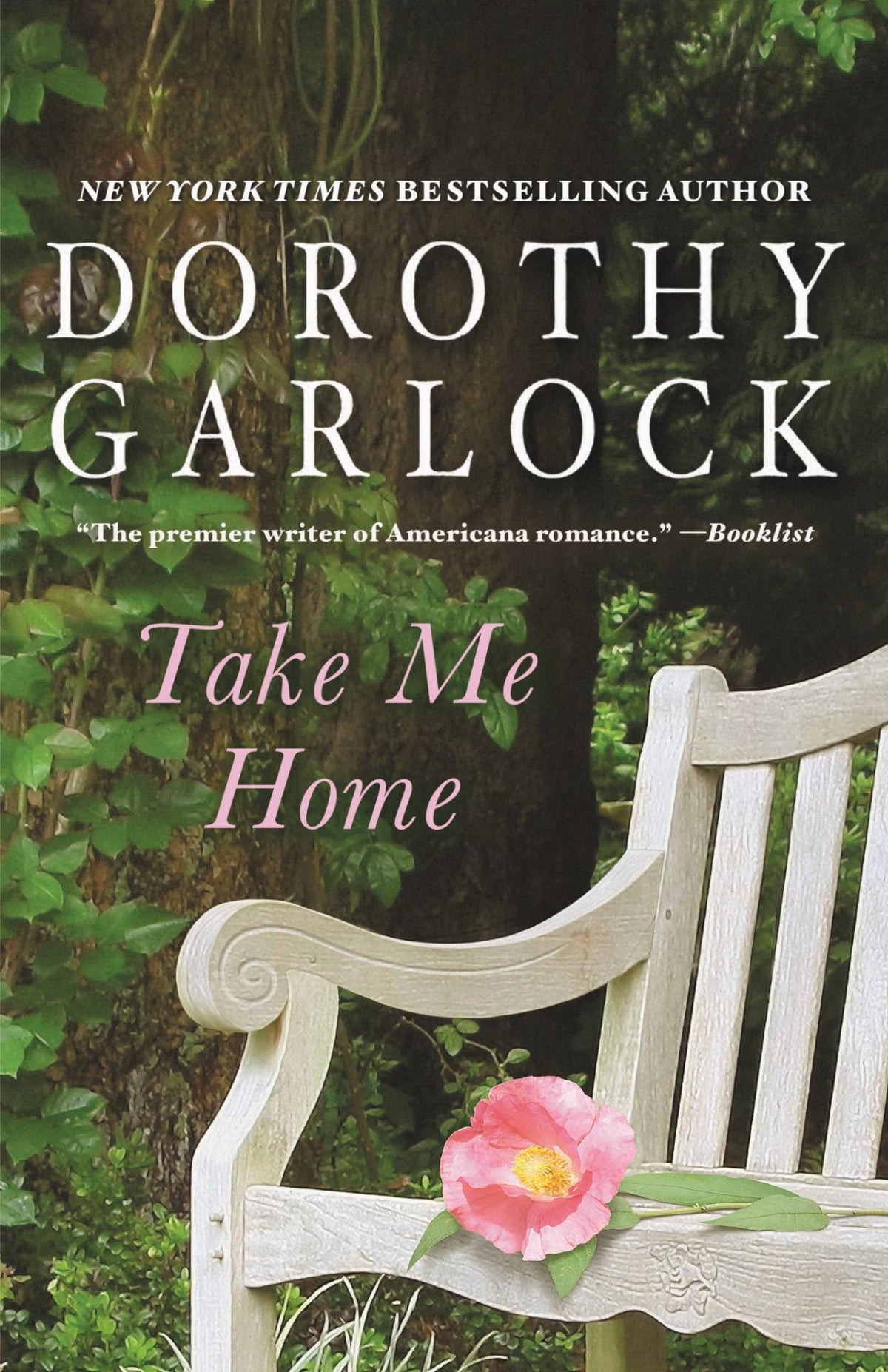 Take Me Home book cover
