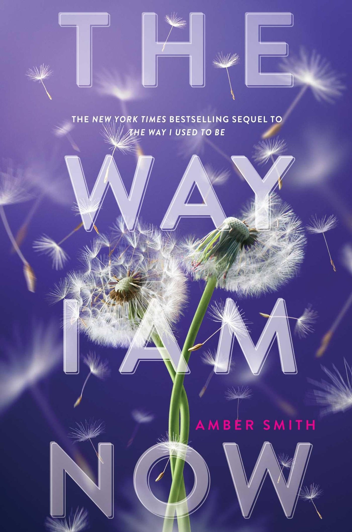Way I Am Now book cover
