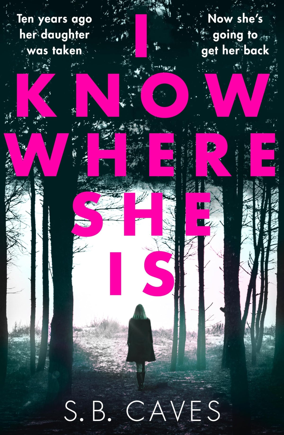 I Know Where She Is book cover